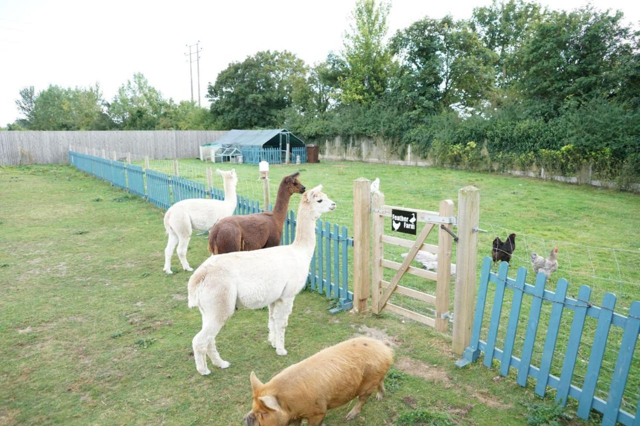 Alpaca Lodge Sittingbourne Extérieur photo